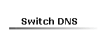 Switch DNS