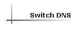 Switch DNS